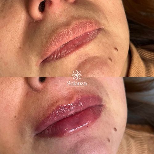 FE1CA3D6-611E-415C-8770-1F5C825AEE2F